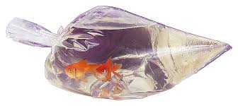 Watertight Fish Bags